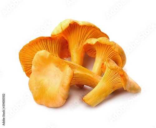 Chanterelle mushrooms.