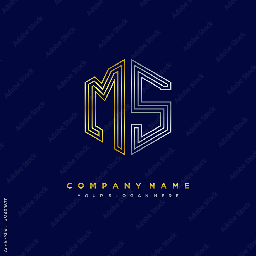 Initial letter MS, minimalist line art monogram hexagon logo, gold and silver color gradation Initial letter MS, minimalist line art monogram hexagon logo, gold and silver color gradation