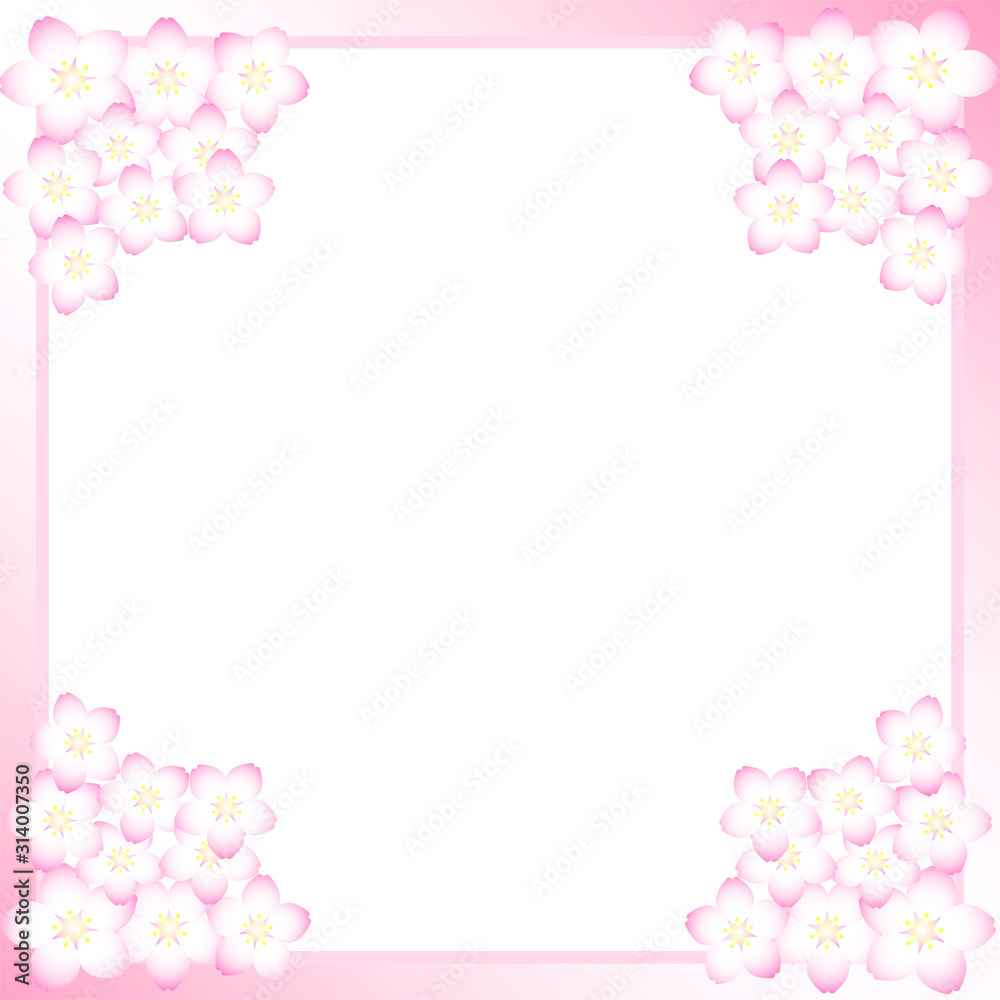 日本の桜の季節の背景(満開の桜と舞い散る花びら)(正方形) 日本の桜の季節の背景(満開の桜と舞い散る花びら)(正方形)
