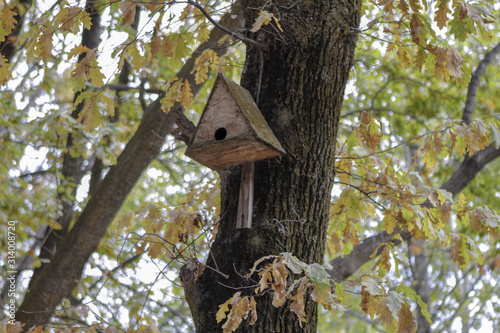 Fototapeta Naklejka Na Ścianę i Meble -  Homemade Bird House on Trees