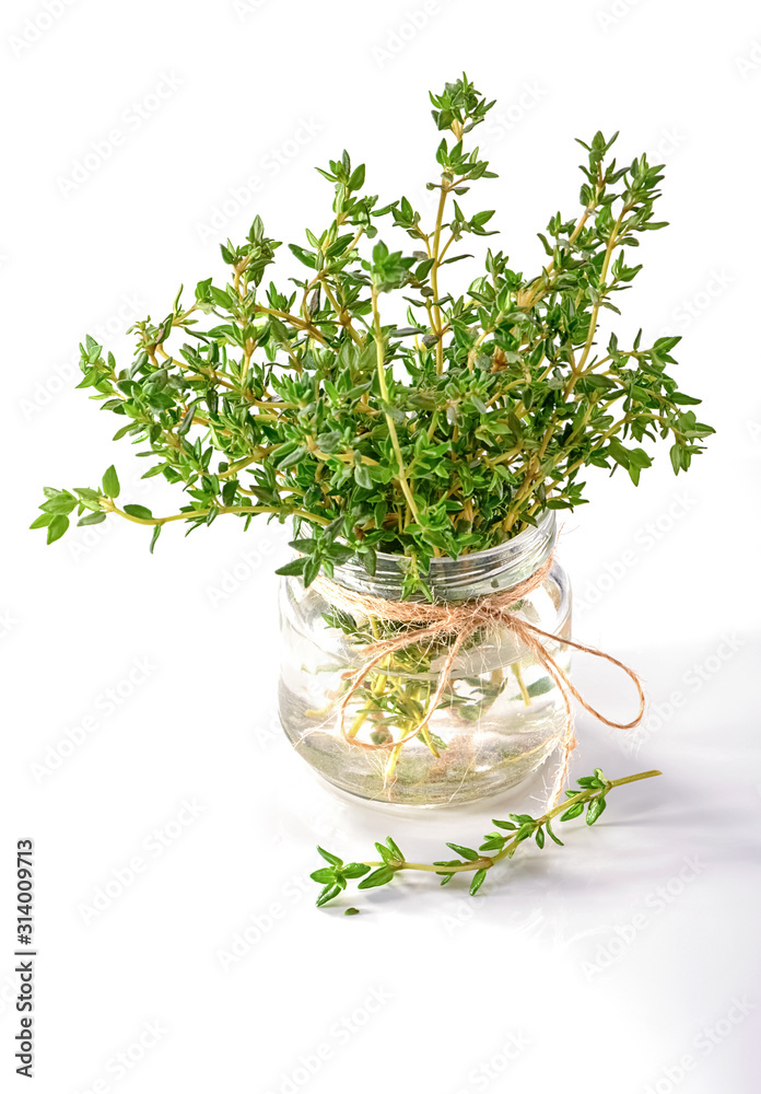 thyme in glass jar decorated with bow of twine isolated on white background thyme in glass jar decorated with bow of twine isolated on white background