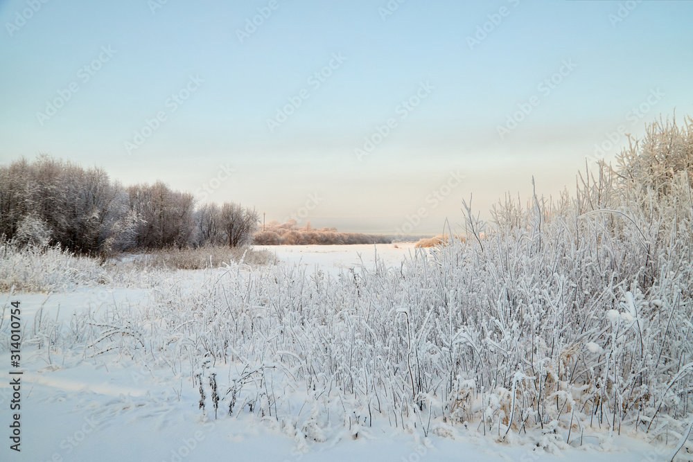 Landscape with tree in the foreground and field in the distance on a winter day Landscape with tree in the foreground and field in the distance on a winter day
