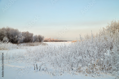 Landscape with tree in the foreground and field in the distance on a winter day