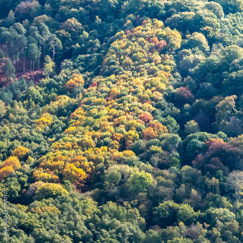 vue aérienne de la forêt de Rambouillet à l'automne dans les Yvelines en France