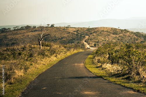 A safari road in the Hluhluwe - imfolozi National Park in South Africa