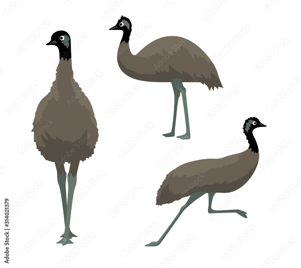 Australian Bird Animal Emu Cartoon Vector Illustration vector de Stock |  Adobe Stock
