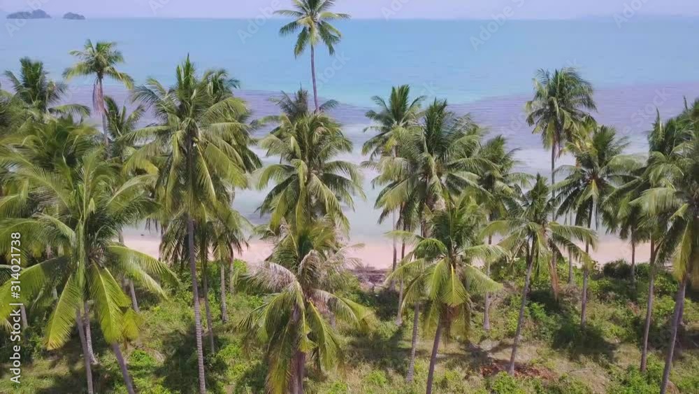 Coconut Palm Tree Coast Line with Sandy Beach by Tropical Sea in Thailand. Aerial View Coconut Palm Tree Coast Line with Sandy Beach by Tropical Sea in Thailand. Aerial View