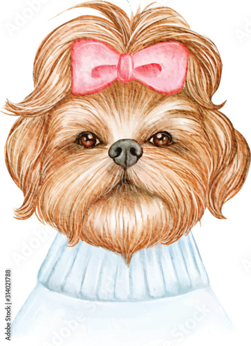 cute shih tzu dog with ribbon watercolor illustration
