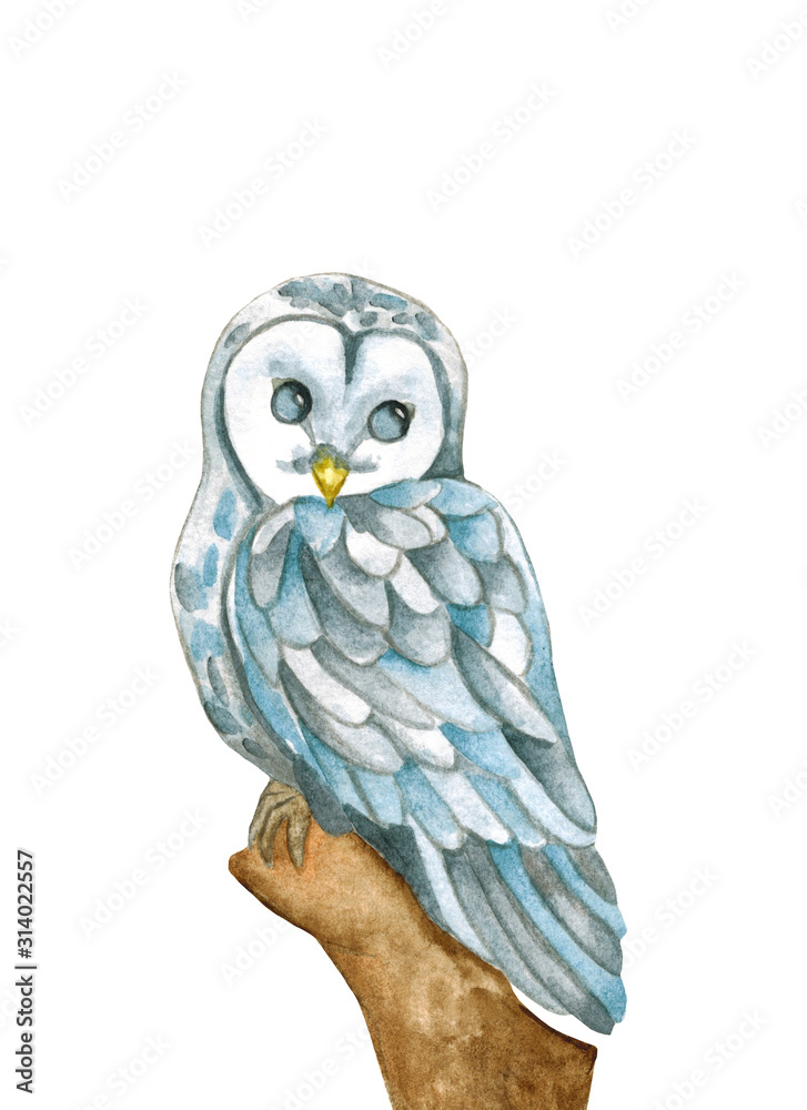 Cute Owl Clipart With Watercolor Illustration - Etsy