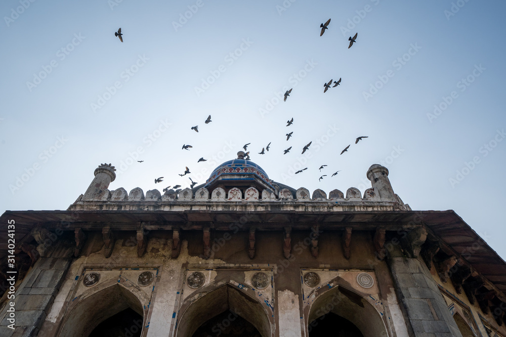 Isa Khans Garden Tomb, part of Humayan's Tomb, as a large flock of birds flies