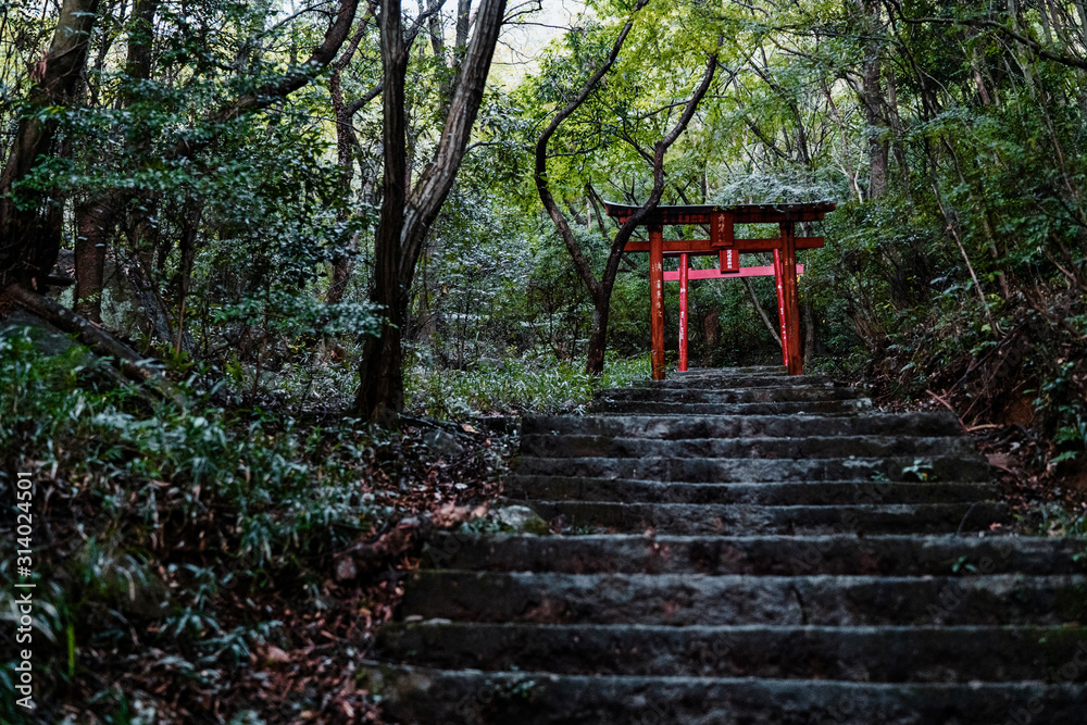 The shrines in Kyushu. The shrines in Kyushu.