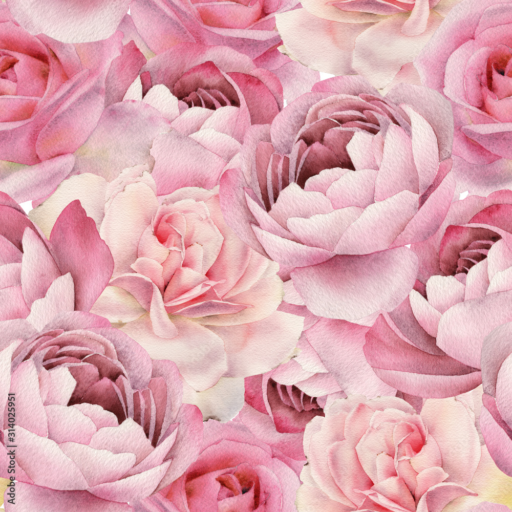 Fototapeta Bukiet różowych piwonii. Akwarela