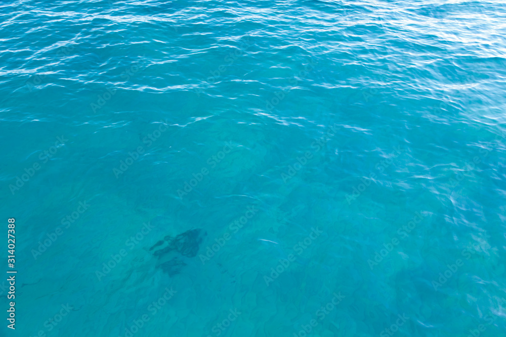 Fototapeta premium Clear water texture in blue. Background of the ocean and the sea backlit by the sun.