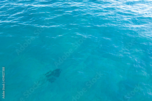 Clear water texture in blue. Background of the ocean and the sea backlit by the sun.