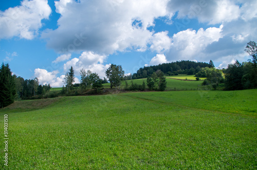 A summer day on green fields of Austria