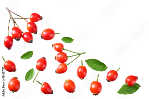 rosehip berries with green leaves isolated on white background. Top view