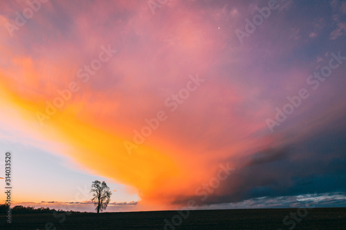 Lonely Tree Growing In Spring Field At Sunrise. Morning Sunrise Sky Above Dark Countryside Meadow Landscape. Spring Nature