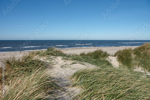 Fototapeta Naklejka Na Ścianę i Meble -  Dune landscape on the Danish coast