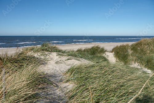 Dune landscape on the Danish coast