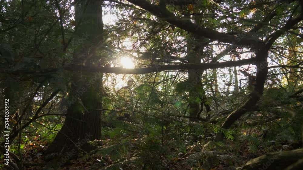 People Hiking In Autumn Forest, Sun Flickergin through Branches, 60fps People Hiking In Autumn Forest, Sun Flickergin through Branches, 60fps