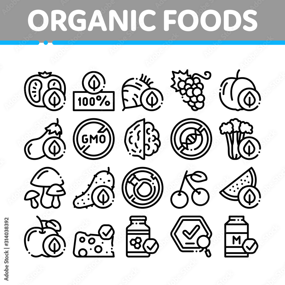 Organic Eco Foods Collection Icons Set Vector Thin Line. Organic Tomato And Mushrooms, Peach And Grape, Apple And Cherry Concept Linear Pictograms. Monochrome Contour Illustrations Organic Eco Foods Collection Icons Set Vector Thin Line. Organic Tomato And Mushrooms, Peach And Grape, Apple And Cherry Concept Linear Pictograms. Monochrome Contour Illustrations