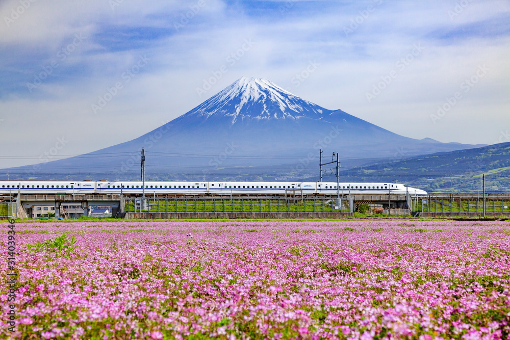 Φωτογραφία 富士山とレンゲ畑そして新幹線、静岡県富士市中里にて