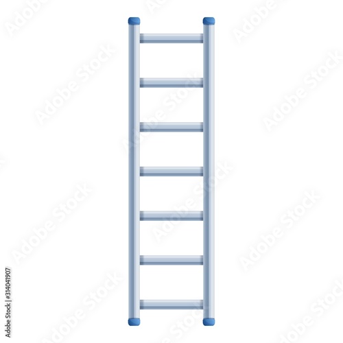 Steel ladder icon. Cartoon of steel ladder vector icon for web design isolated on white background