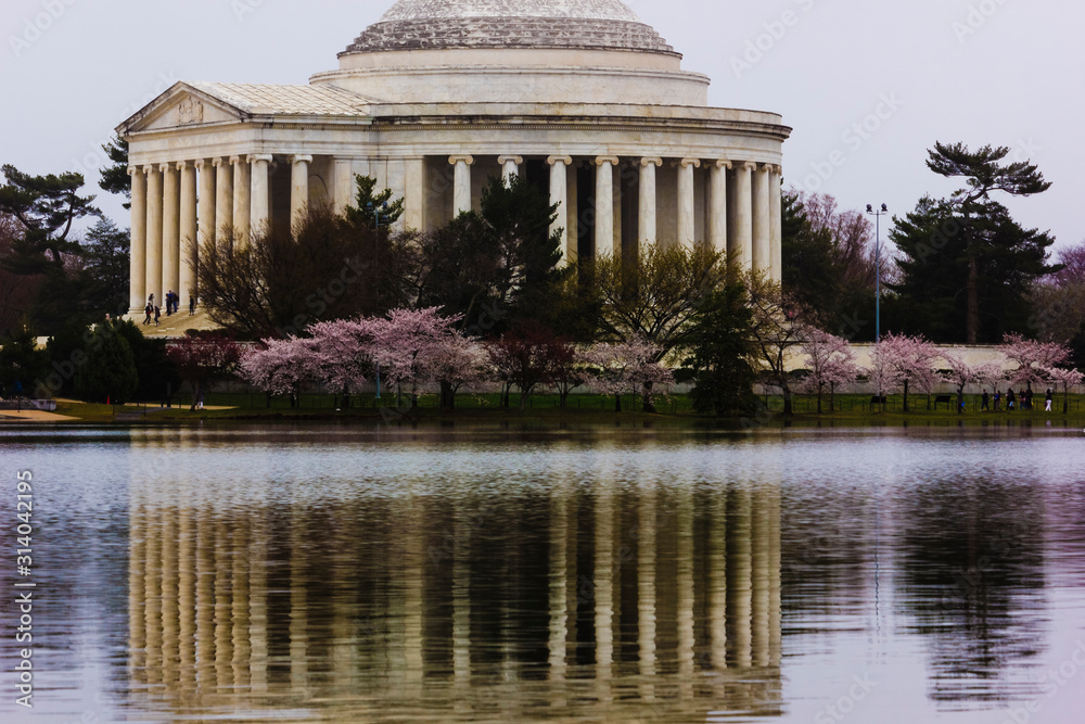 Beautiful Spring-time reflection of the Thomas Jefferson Memorial on the surface of the Tidal Basin, West Potomac Park, Washington DC
