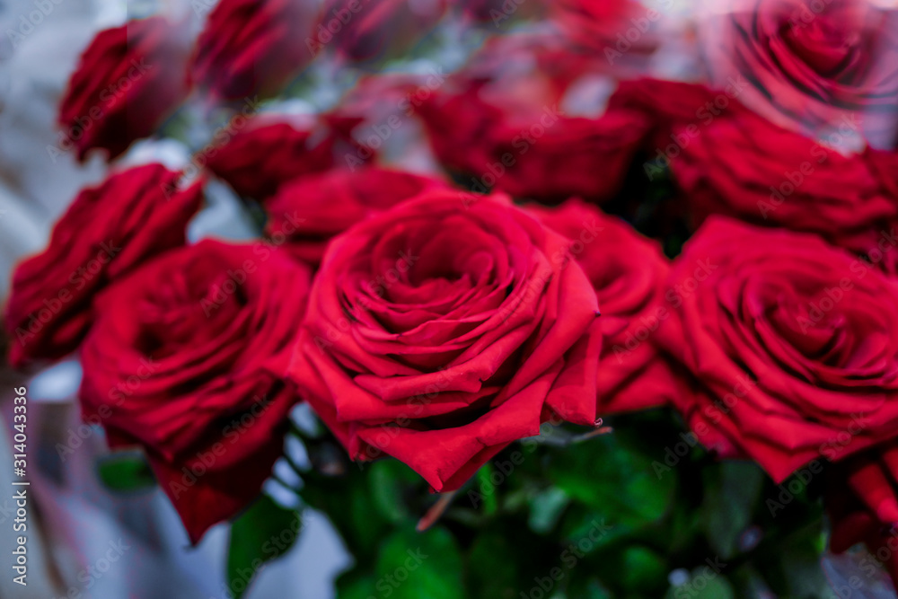 bouquet of red roses, rose flower background bouquet of red roses, rose flower background
