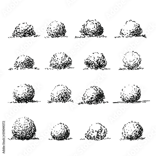 Set of rounded shrubbery, hand drawn dendrology collection, graphic template