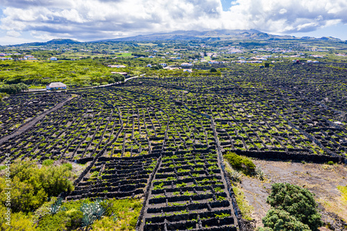 Man-made landscape of the Pico Island Vineyard Culture, Azores, Portugal. Pattern of spaced-out, long linear walls running inland from, and parallel to the rocky shore with Pico volcano in background photo