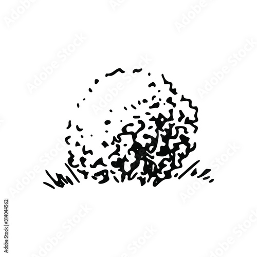 Rounded shrubbery, hand drawn sketch illustration