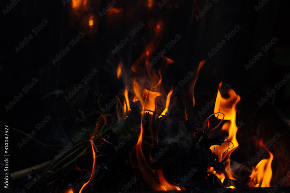 Flames on a dark background. Fire bonfire.