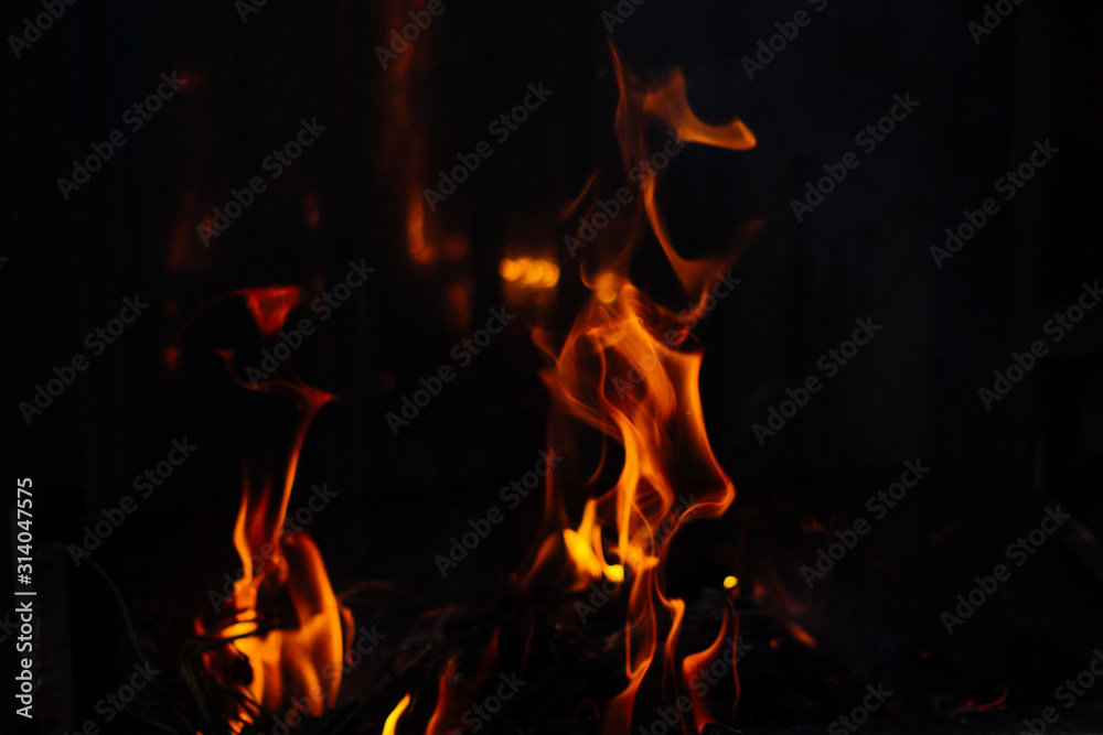 Flames on a dark background. Fire bonfire.