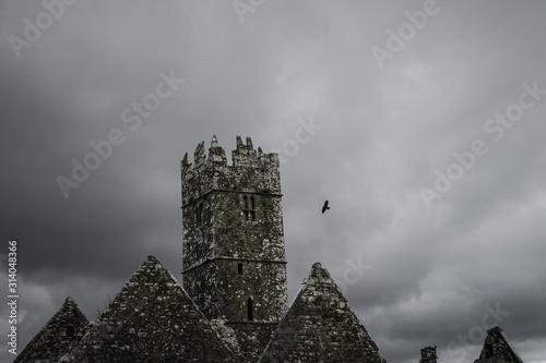 Ross Abbey in Ireland on an abandond place photo