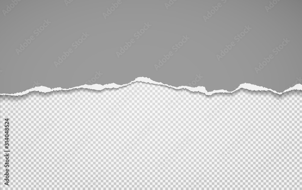 Torn, ripped piece of horizontal grey paper with soft shadow is on white squared background for text. Vector illustration Torn, ripped piece of horizontal grey paper with soft shadow is on white squared background for text. Vector illustration