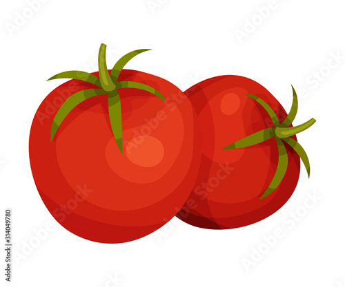 Fresh Ripe Red Tomatoes, Organic Healthy Vegetables Vector Illustration