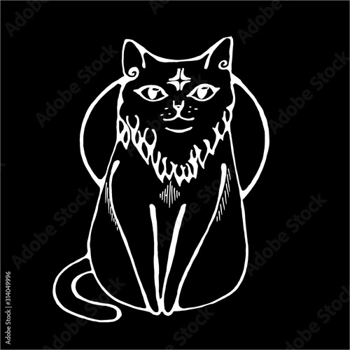 Illustration of a cat that sits calmly with a star in the forehead and the moon on the background. Chalk on a blackboard.
