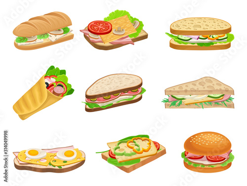 Subs and Sandwiches with Various Ingredients Vector Set