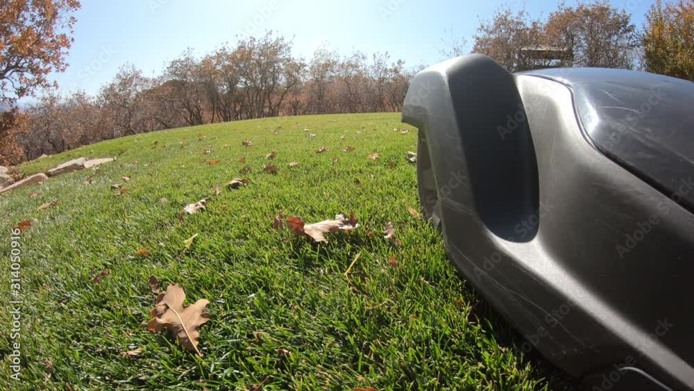 Ground level view of robot lawn mower as it drives drives by trimming the grass.