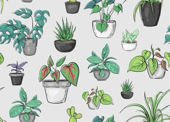 Keuken achterwand Planten in pot patronen Botanische planten in potten dessin  © Hmarka
