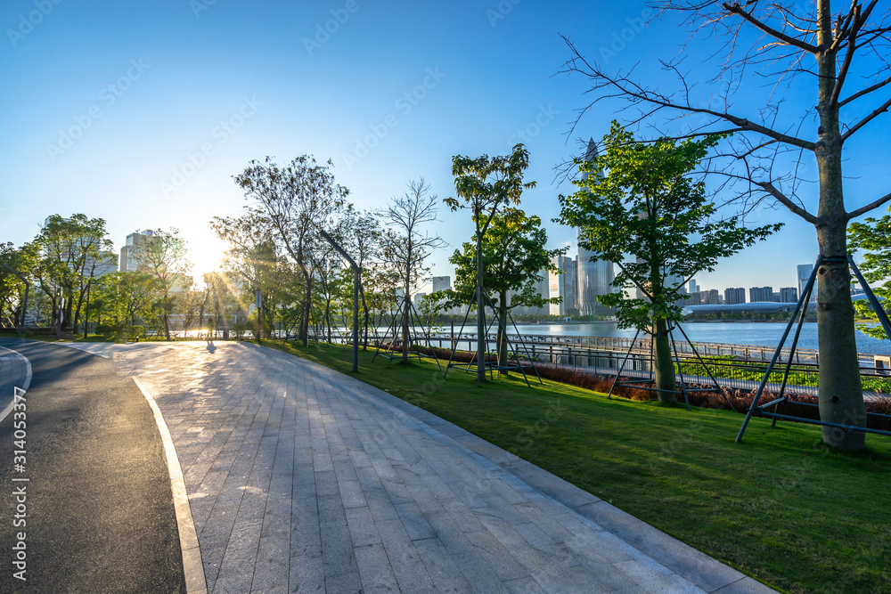 Obraz premium road in forest