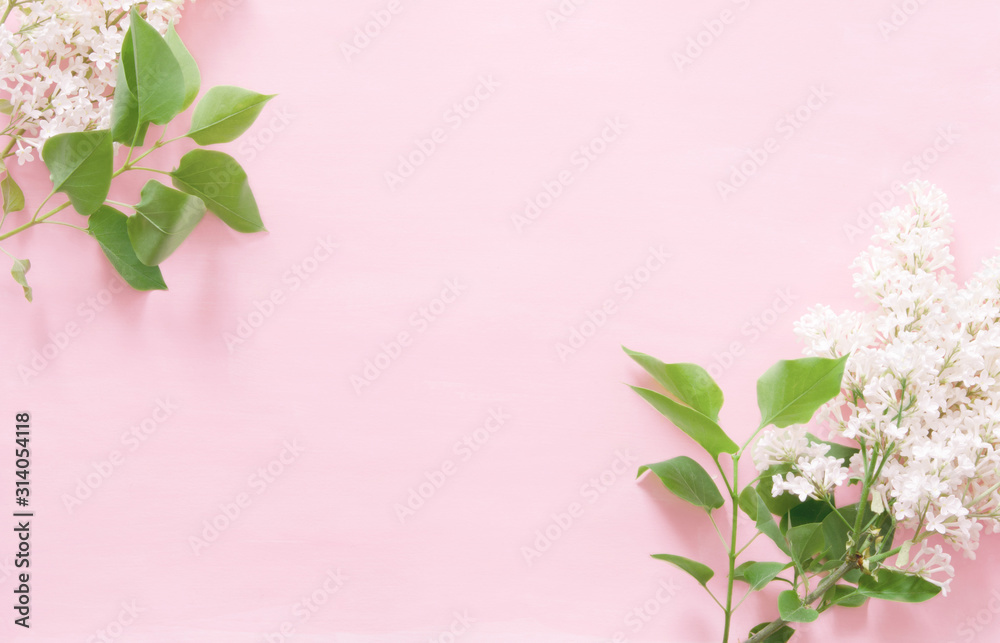 Lilac flowers on pink background. Spring flowers. Top view, flat lay, copy space. - Image Lilac flowers on pink background. Spring flowers. Top view, flat lay, copy space. - Image