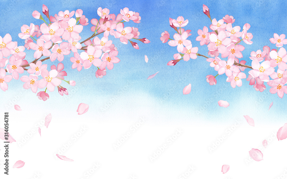 春の花 青空を背景に桜と散る花びらのアーチ型フレーム 水彩イラスト Stock Illustration Adobe Stock