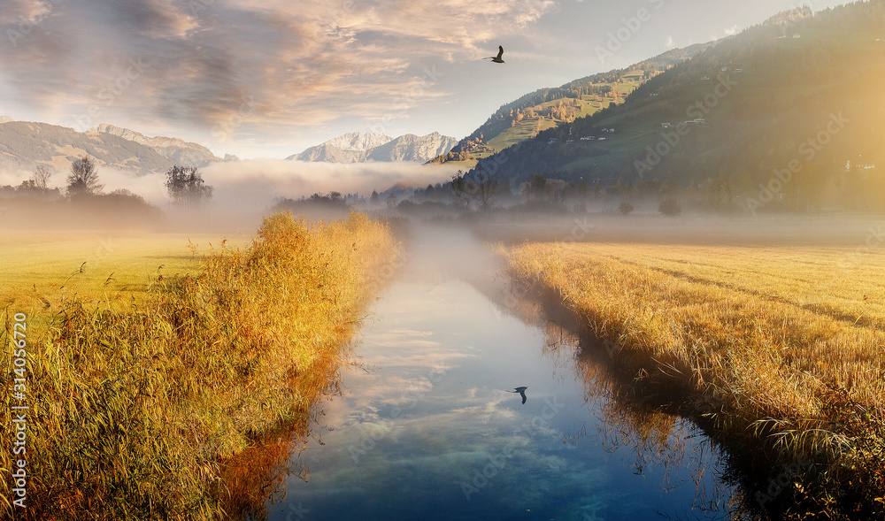 Fototapeta Wonderful picturesque Scene. Incredible Misty morning over Alpine valley. Amazing Nature Landscape, Beautiful View of spring meadow with calm river, fresh grass and colorful sky. Picture of wild area.