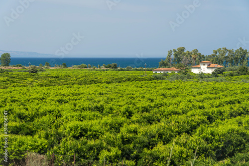 Foto Country and sea in Calabria, italy, at summer