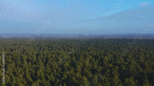 Pure nature aerial shot flying above pine trees, natural clean air generators