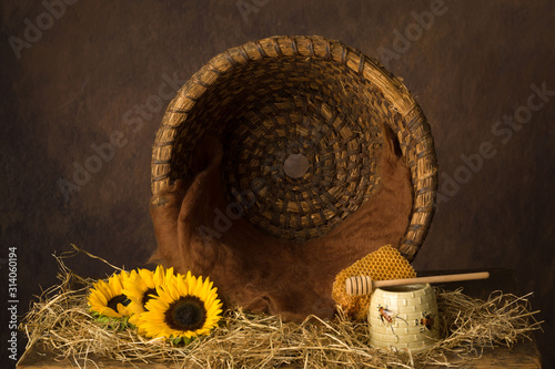 Fotografi Open beehive and sunflowers