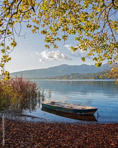 The abandoned boat. 