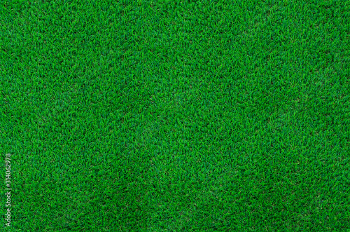 Green grass texture for background